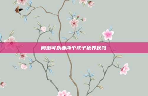 離婚可以要兩個孩子撫養權嗎