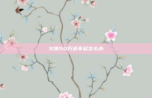 欠債50萬還不起怎么辦